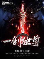 剑帝至尊叶辰